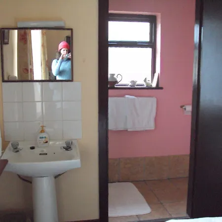 مزرعة للإقامة Homeleigh Farmhouse Aherlow