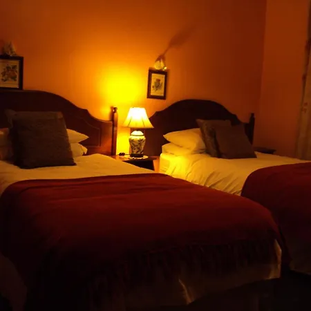Homeleigh Farmhouse Aherlow